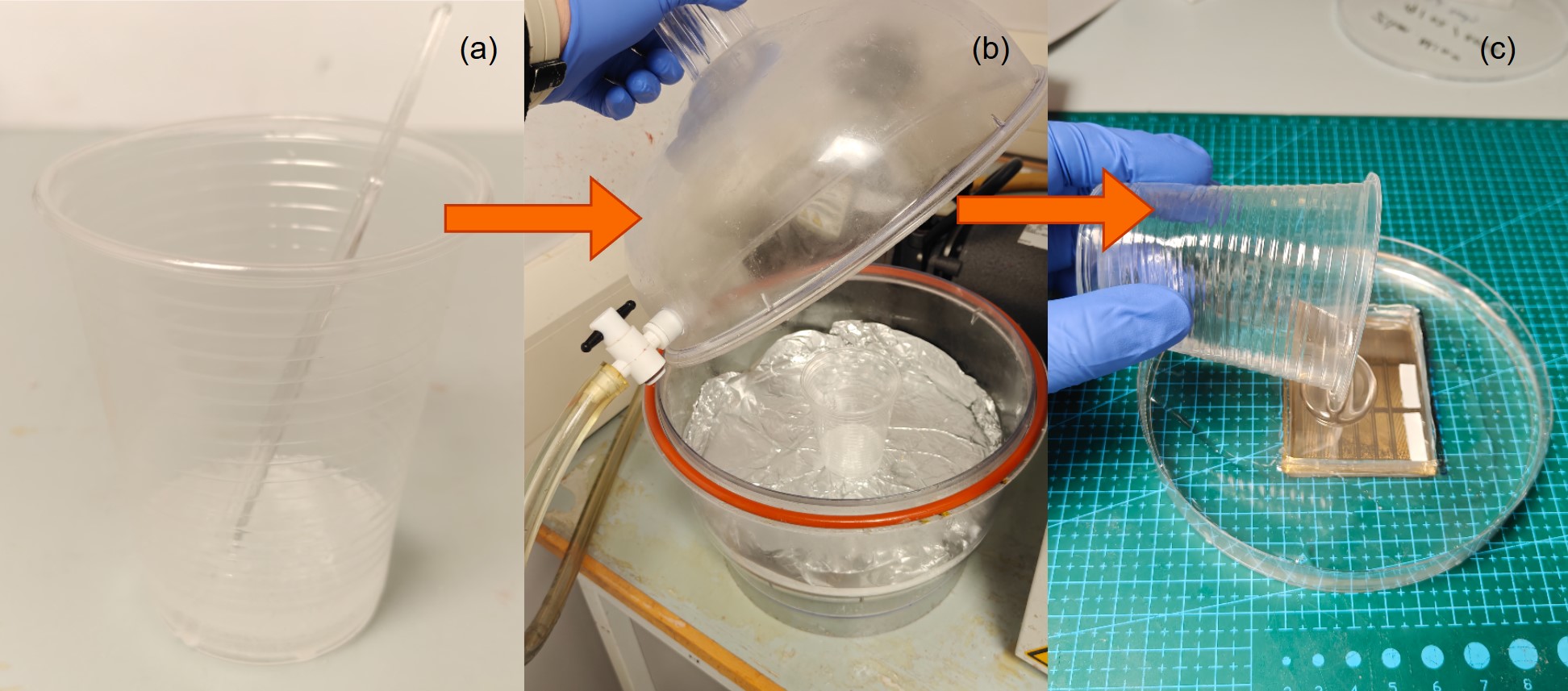 Vacuum desiccator degassing