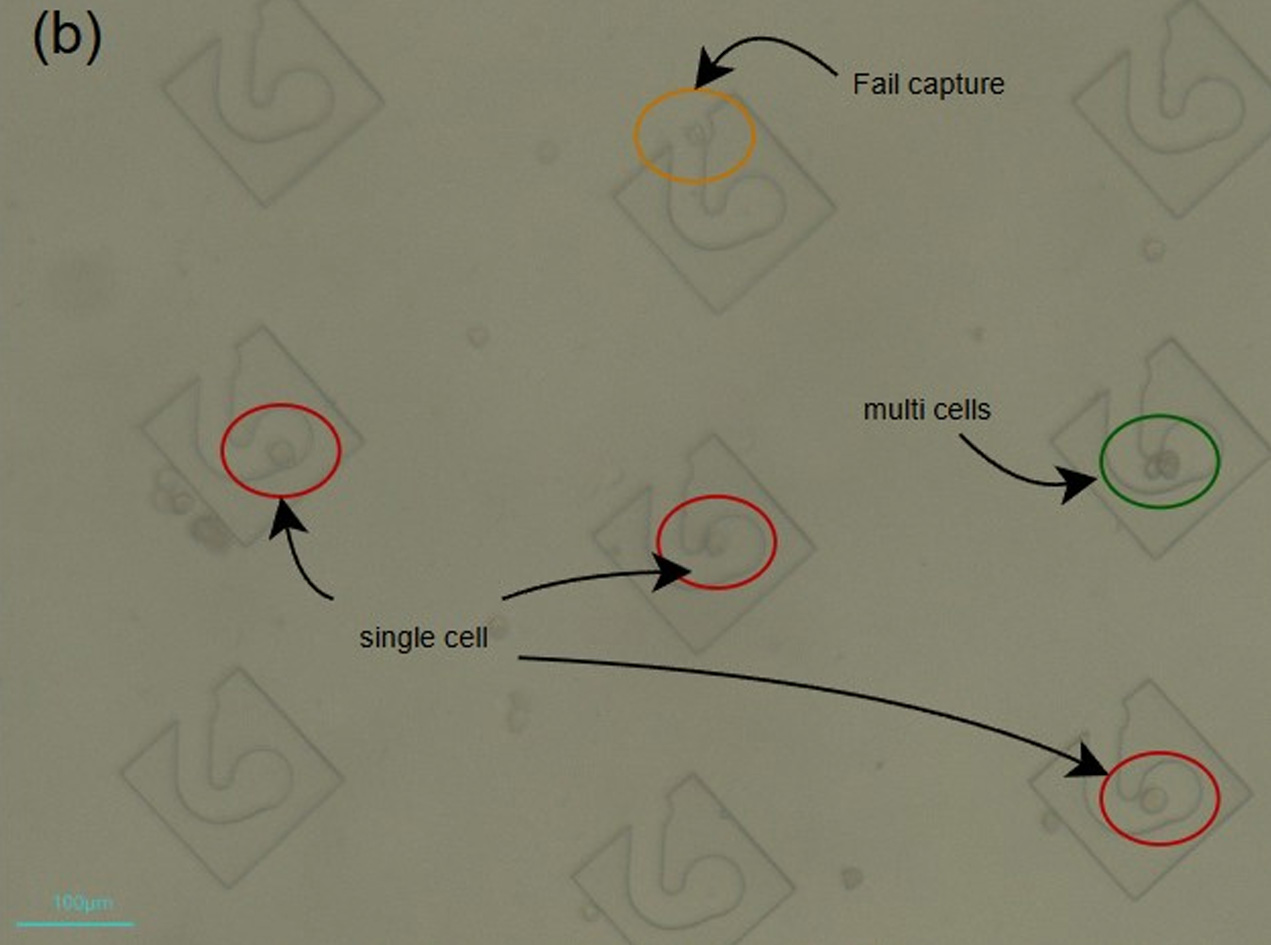 Fig 6.4b Array survey – red successful, green clusters, orange failed